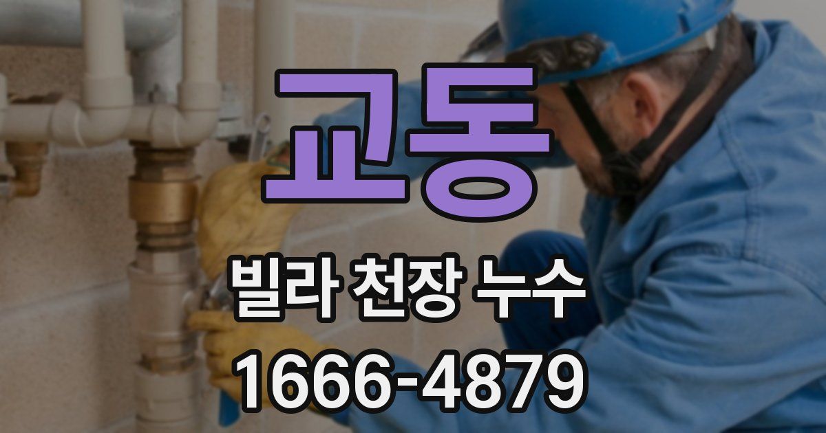 교동 빌라 천장 누수