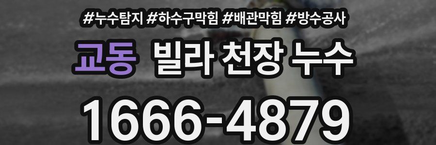 교동 빌라 천장 누수