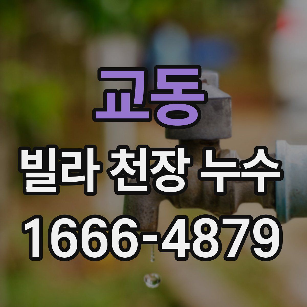 교동 빌라 천장 누수
