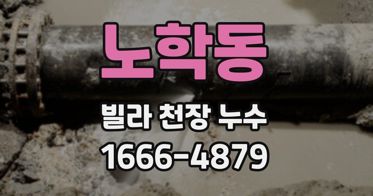 노학동 빌라 천장 누수