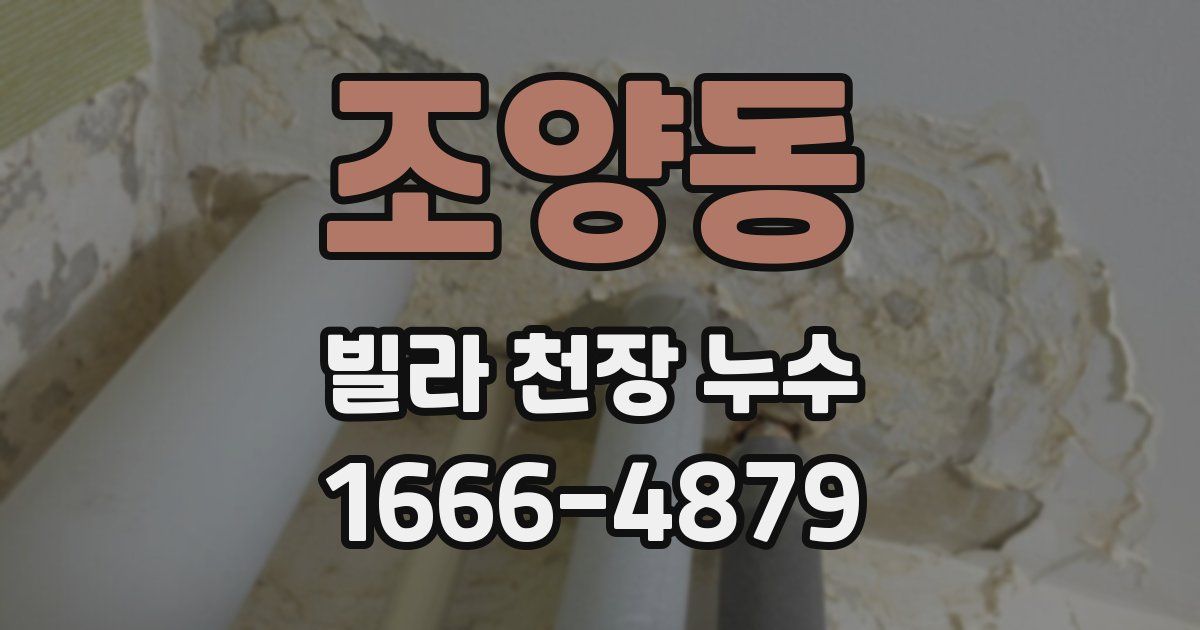 조양동 빌라 천장 누수