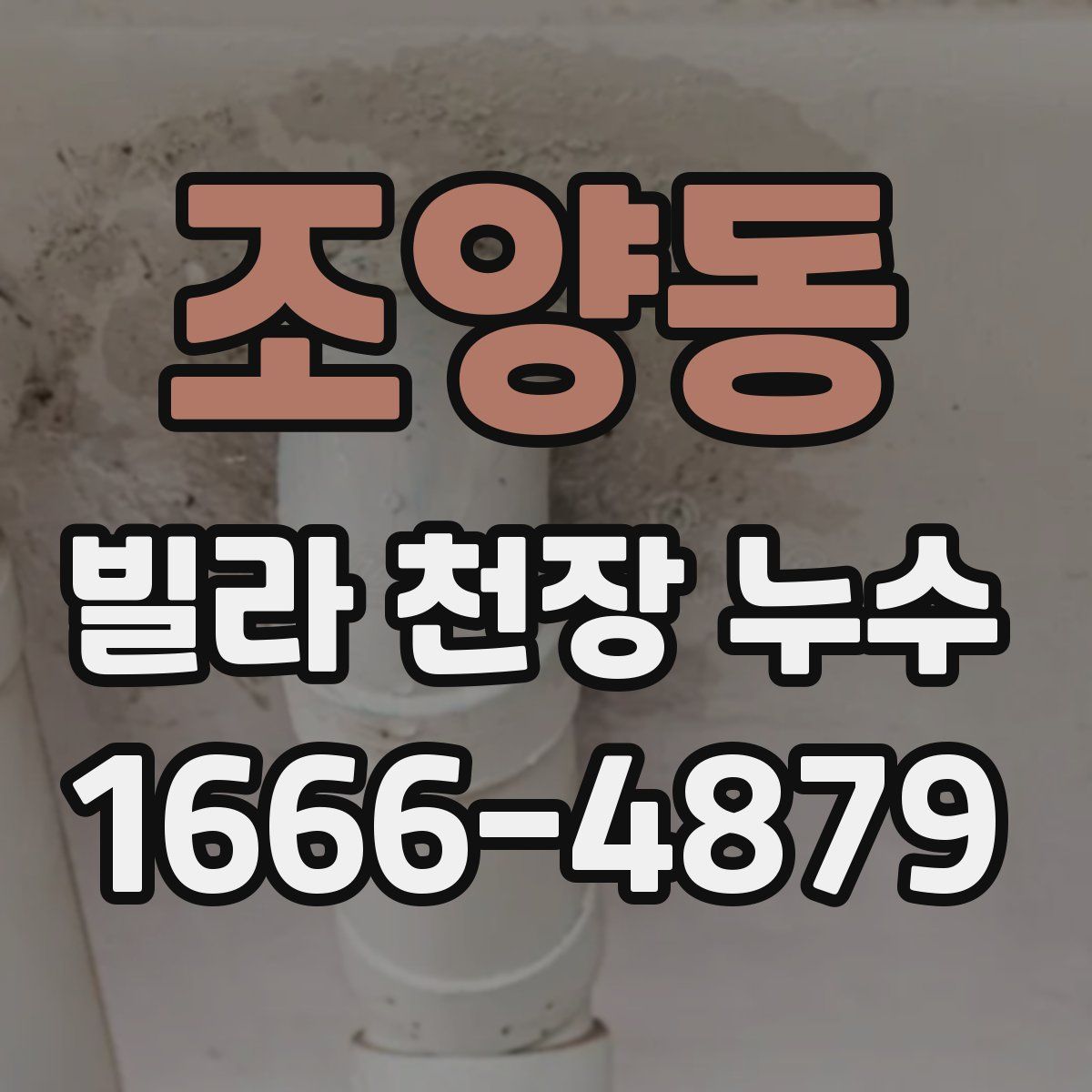 조양동 빌라 천장 누수