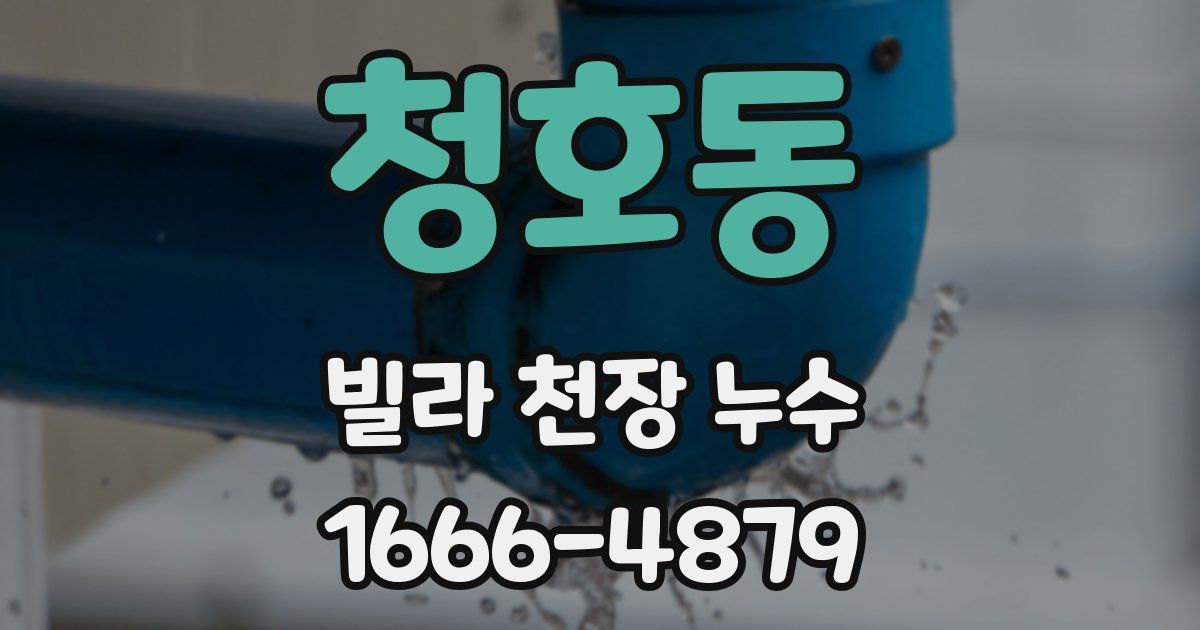청호동 빌라 천장 누수