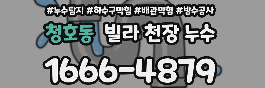 청호동 빌라 천장 누수
