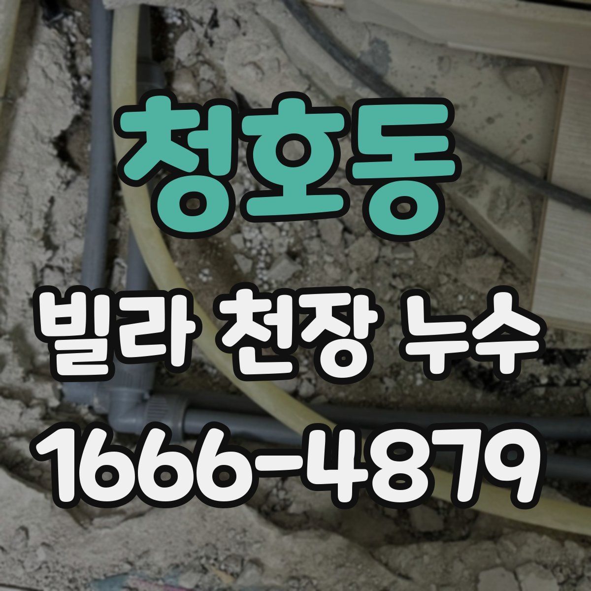 청호동 빌라 천장 누수