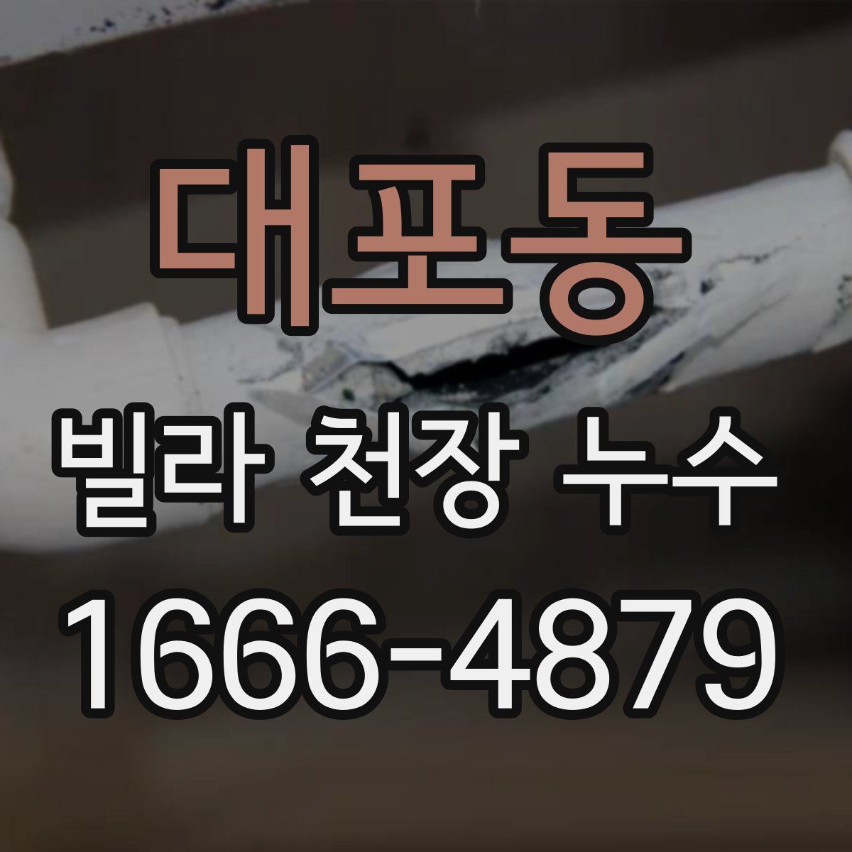 대포동 빌라 천장 누수