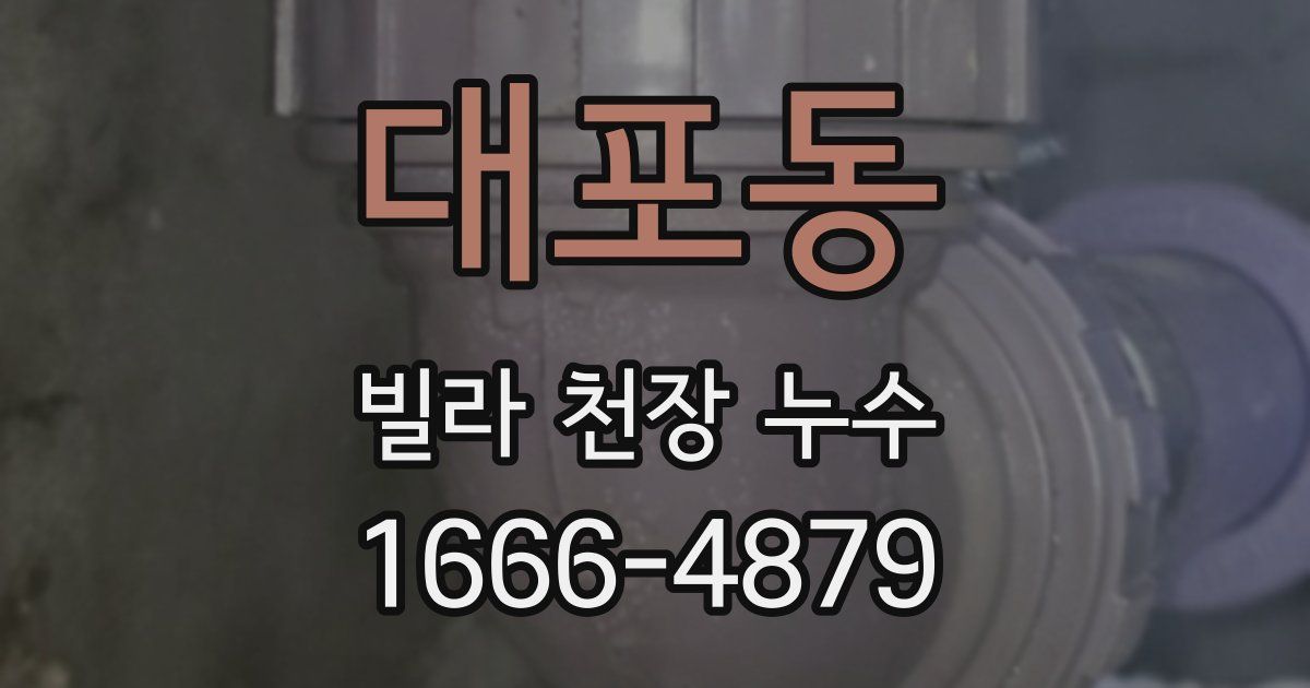 대포동 빌라 천장 누수