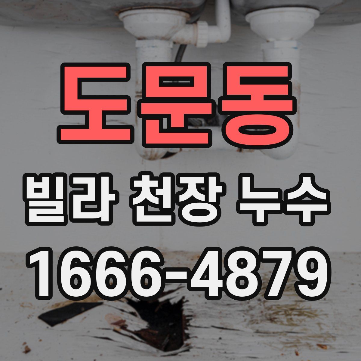 도문동 빌라 천장 누수