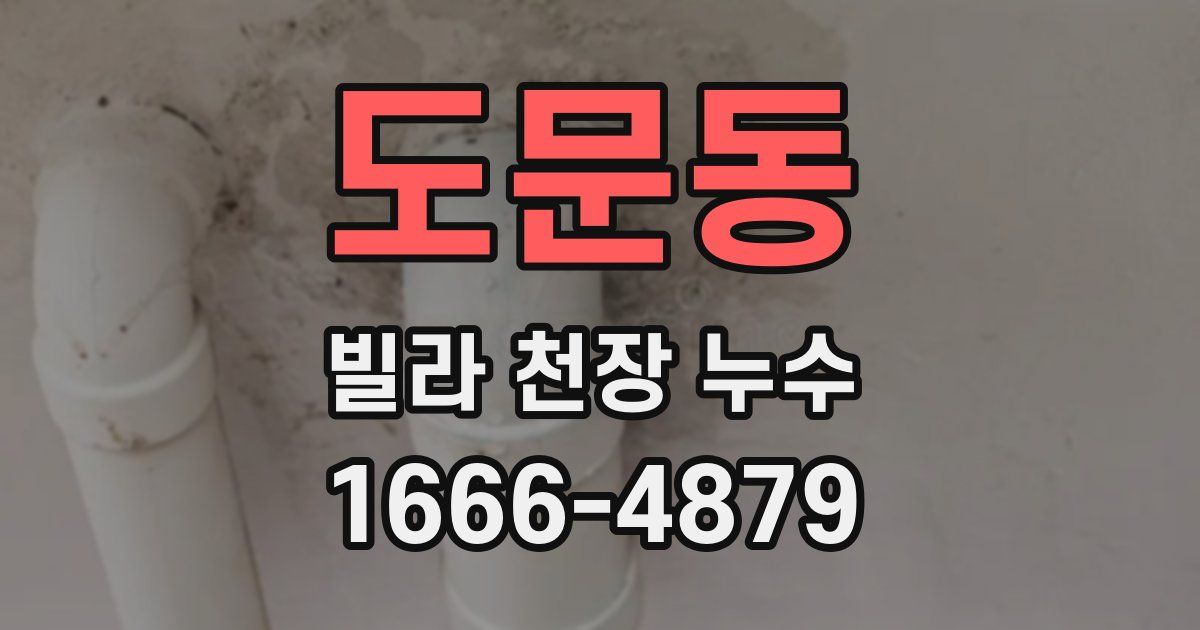 도문동 빌라 천장 누수