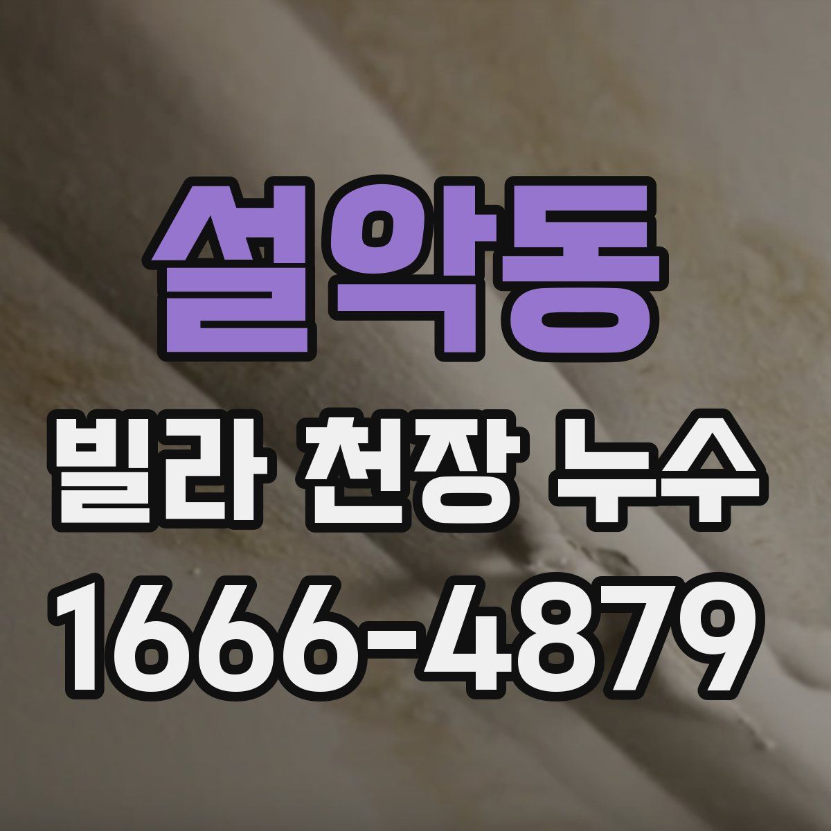 설악동 빌라 천장 누수