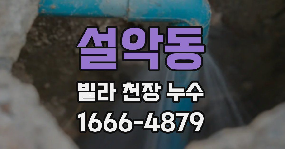 설악동 빌라 천장 누수