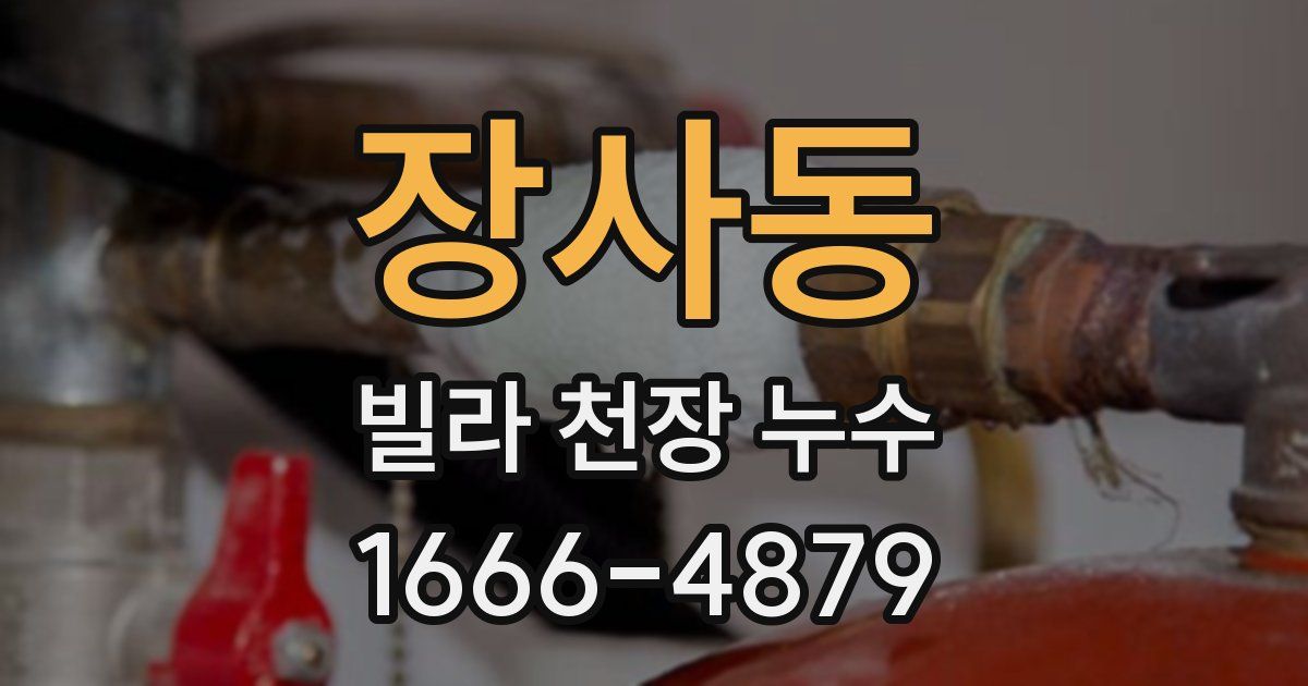 장사동 빌라 천장 누수