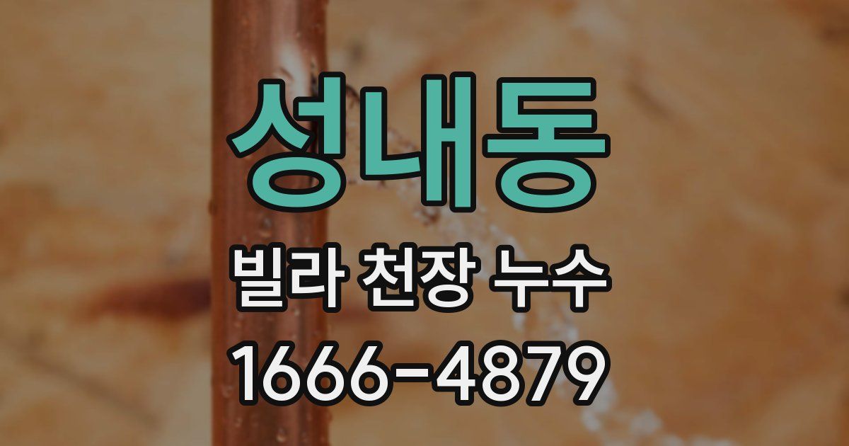 성내동 빌라 천장 누수