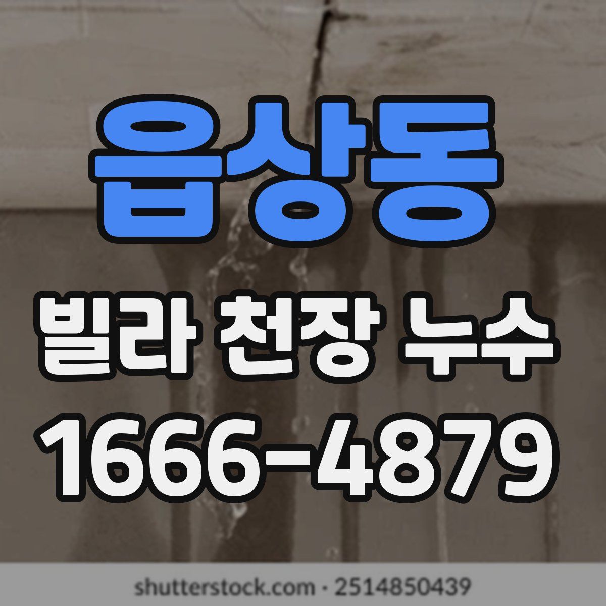 읍상동 빌라 천장 누수