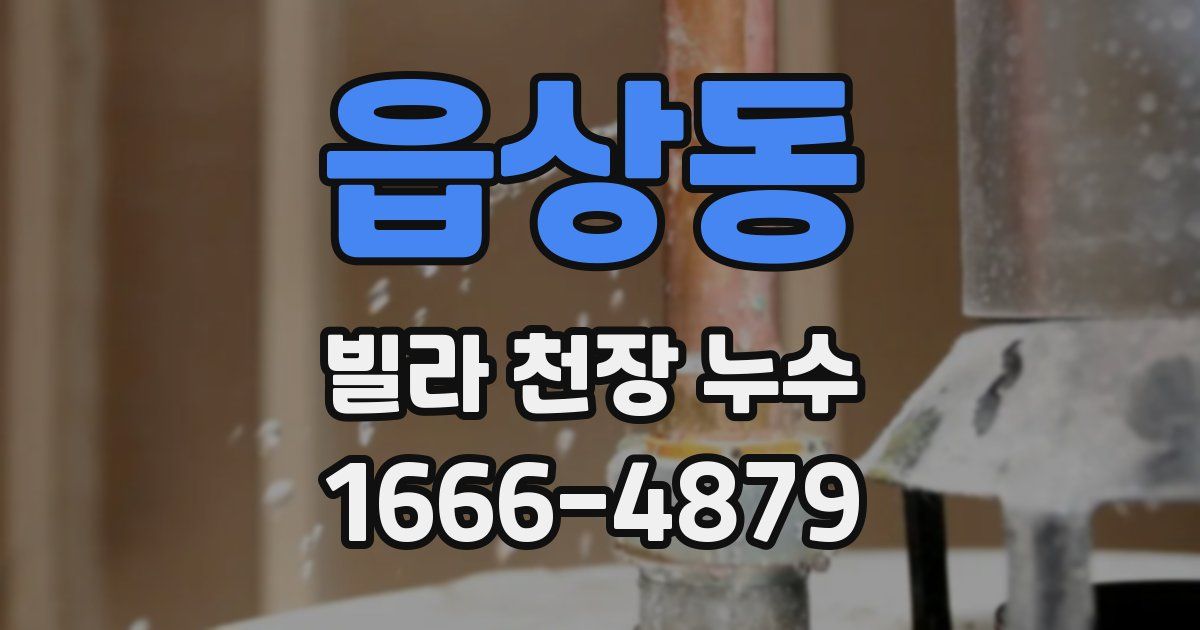 읍상동 빌라 천장 누수