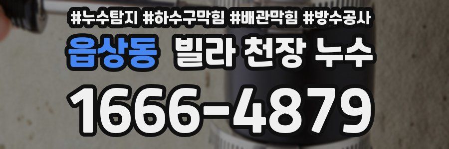 읍상동 빌라 천장 누수
