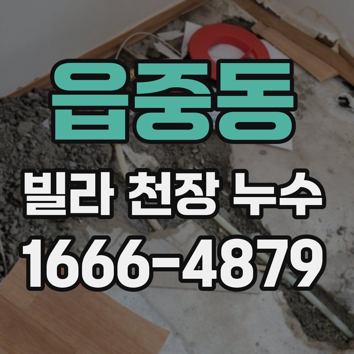 읍중동 빌라 천장 누수