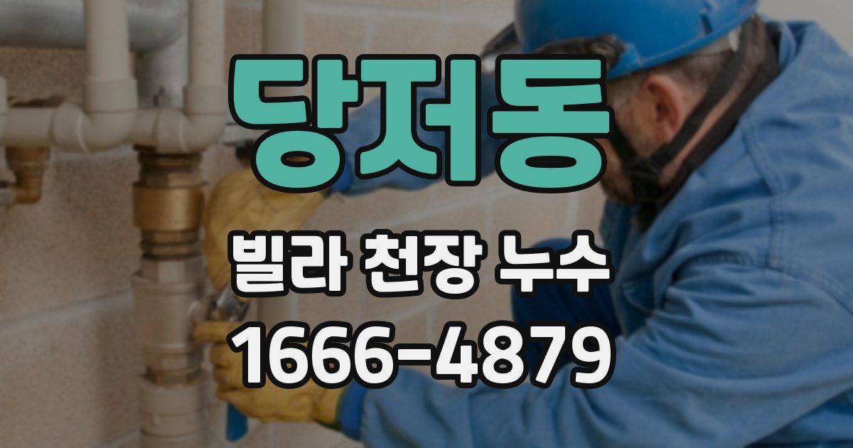 당저동 빌라 천장 누수
