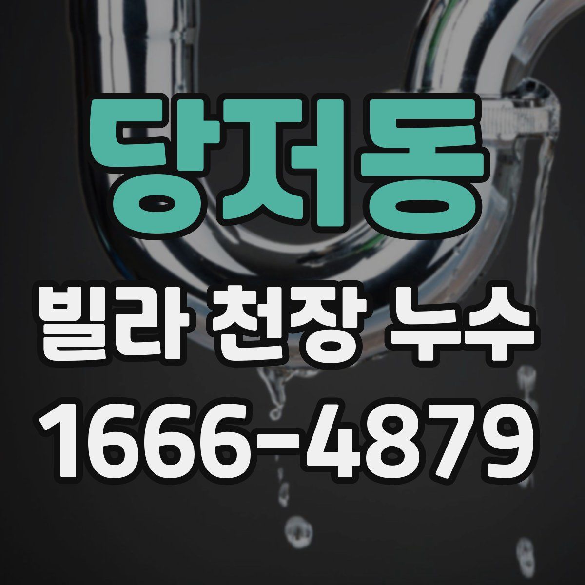 당저동 빌라 천장 누수