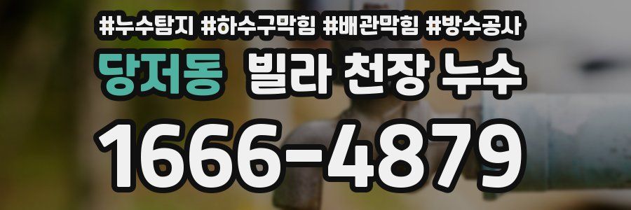 당저동 빌라 천장 누수