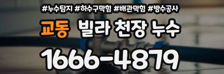 교동 빌라 천장 누수