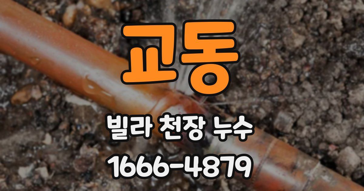 교동 빌라 천장 누수