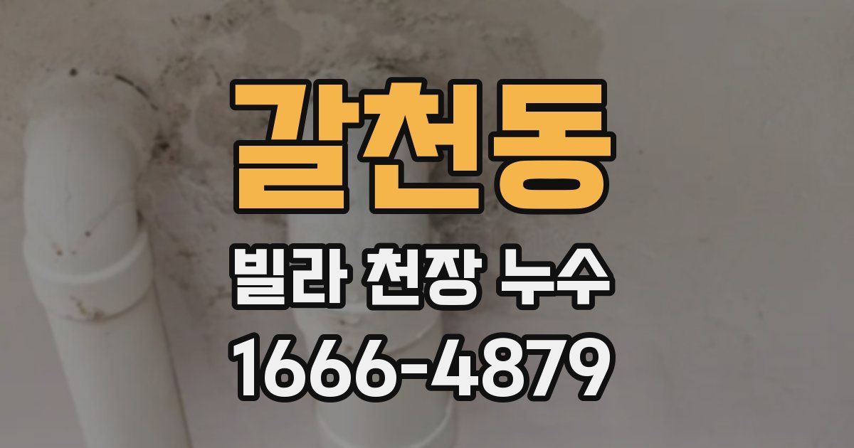 갈천동 빌라 천장 누수