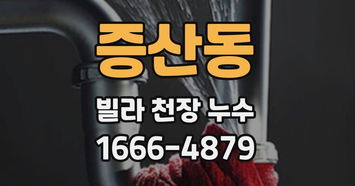 증산동 빌라 천장 누수