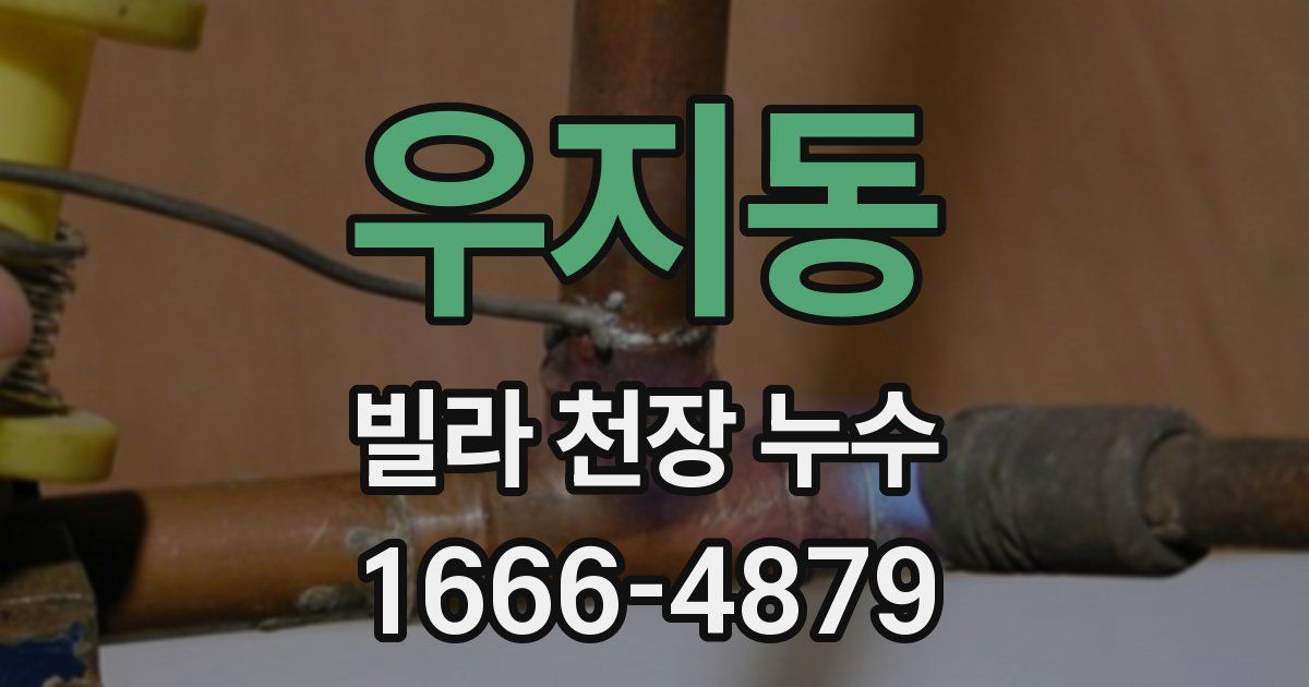 우지동 빌라 천장 누수