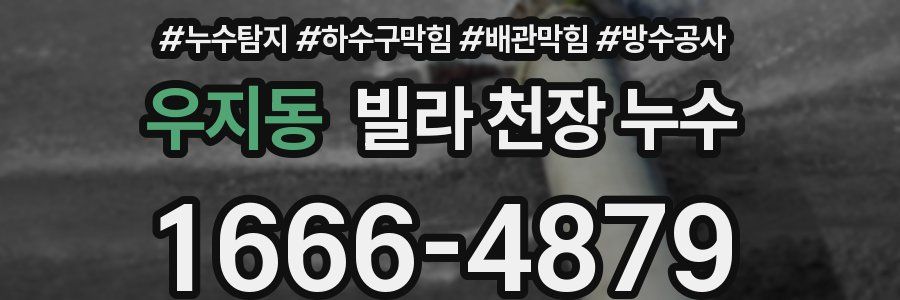 우지동 빌라 천장 누수
