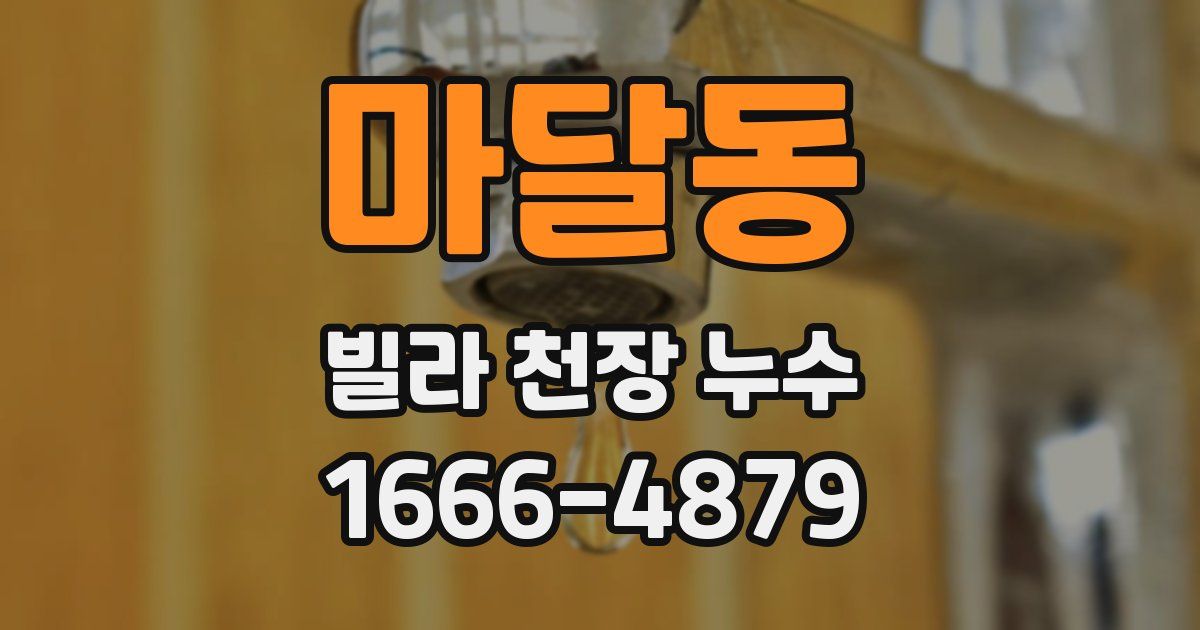 마달동 빌라 천장 누수