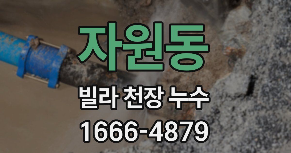 자원동 빌라 천장 누수