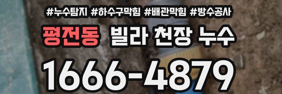 평전동 빌라 천장 누수