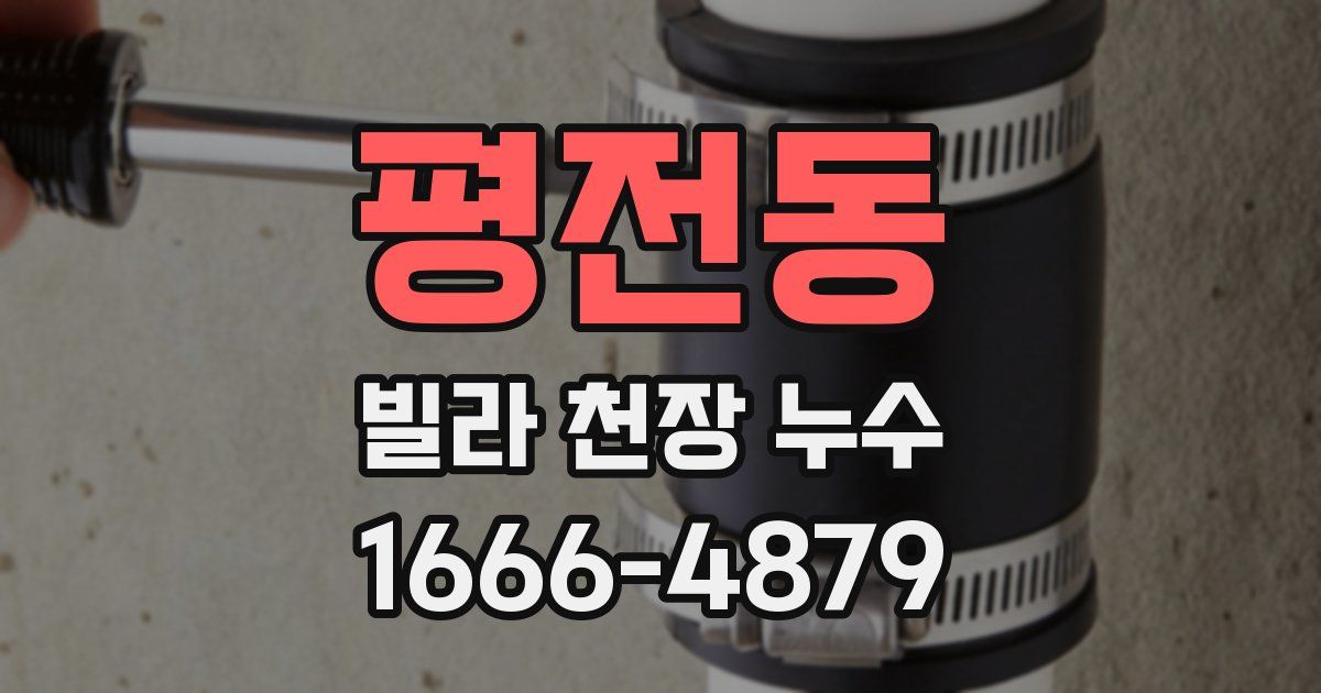 평전동 빌라 천장 누수