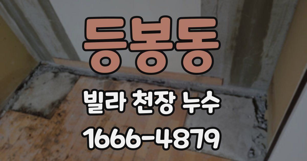 등봉동 빌라 천장 누수