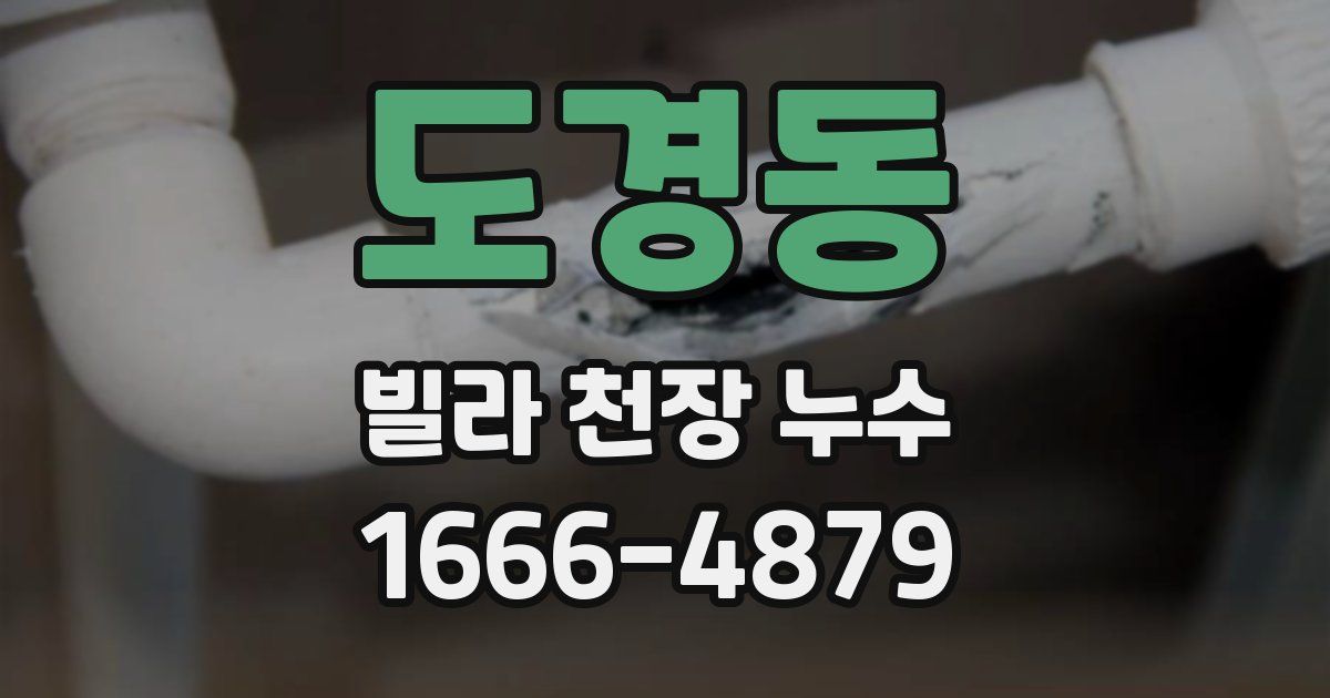 도경동 빌라 천장 누수