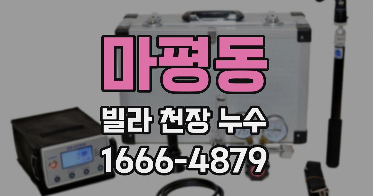 마평동 빌라 천장 누수