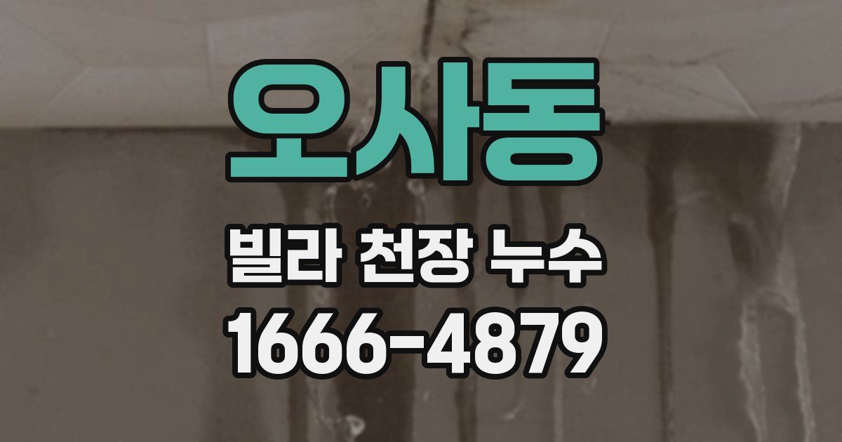 오사동 빌라 천장 누수