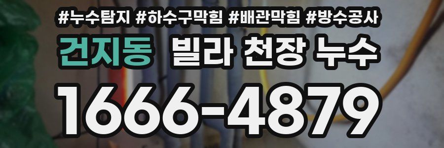 건지동 빌라 천장 누수