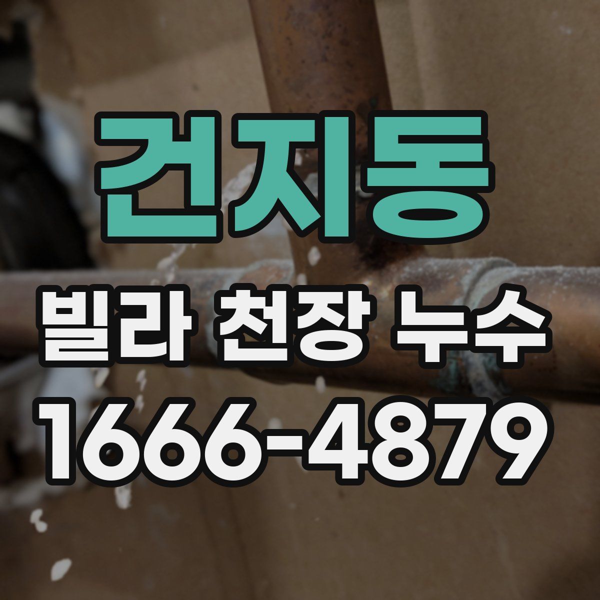 건지동 빌라 천장 누수