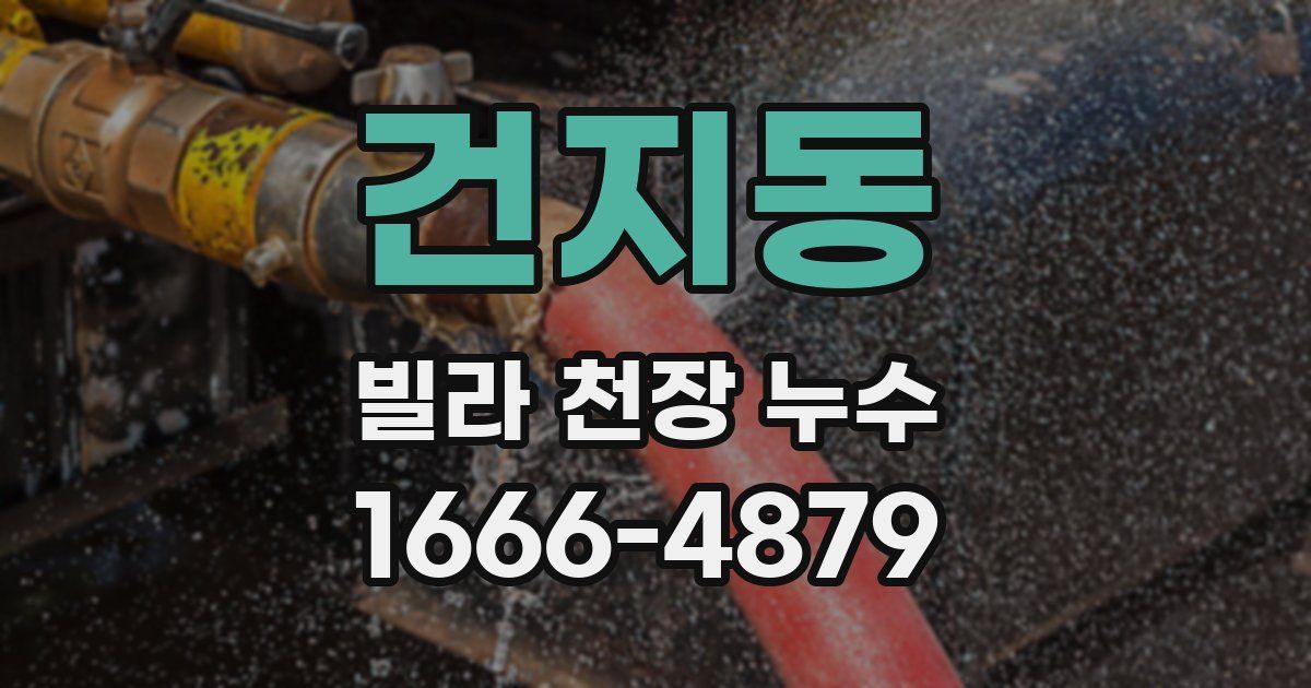 건지동 빌라 천장 누수