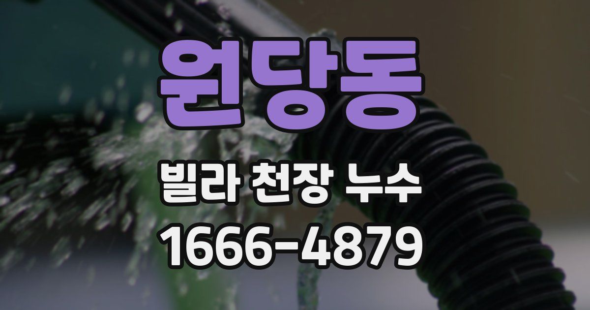 원당동 빌라 천장 누수