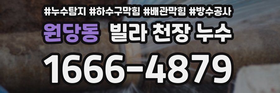 원당동 빌라 천장 누수