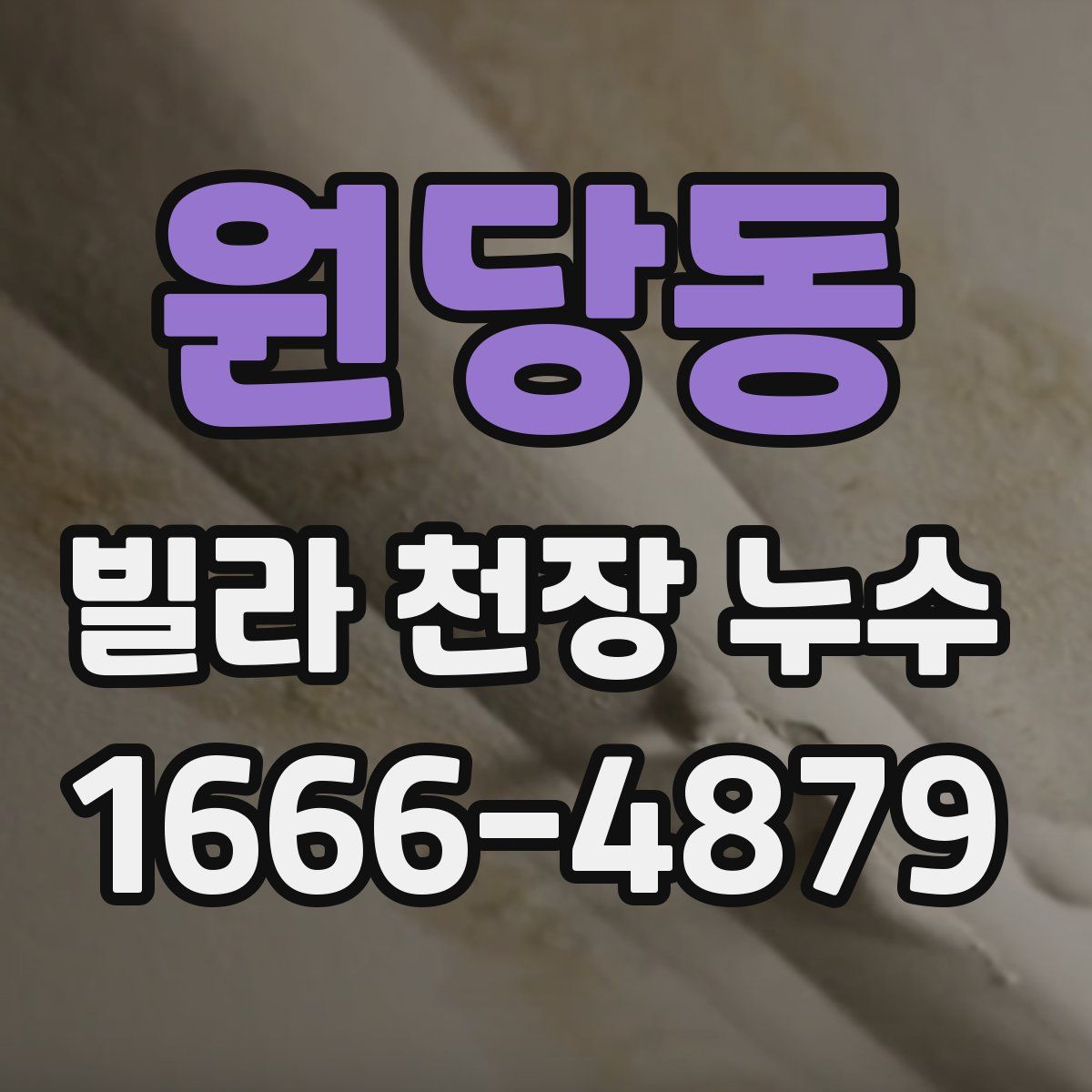 원당동 빌라 천장 누수