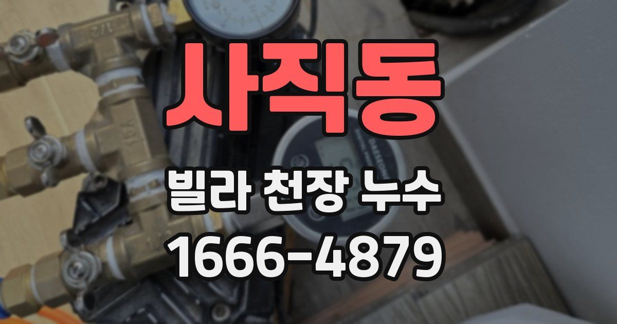 사직동 빌라 천장 누수