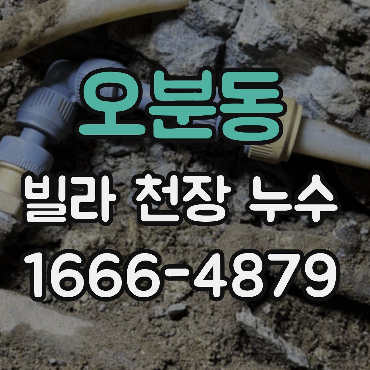 오분동 빌라 천장 누수