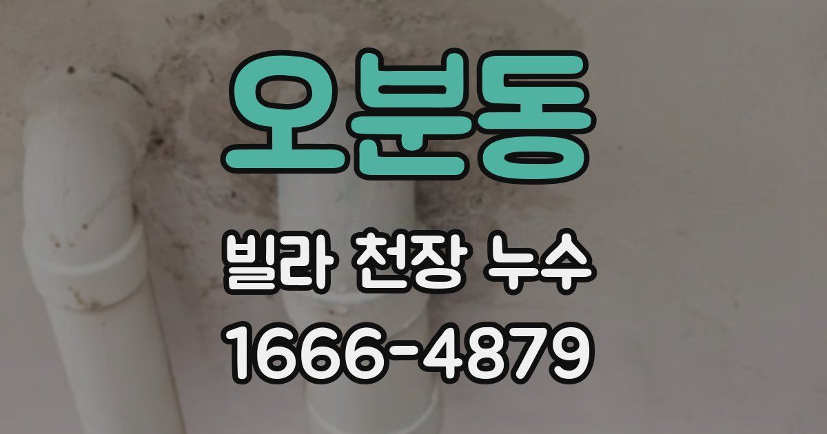 오분동 빌라 천장 누수
