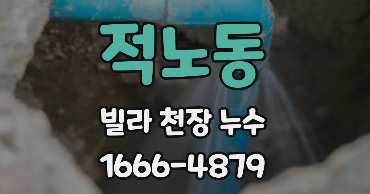 적노동 빌라 천장 누수