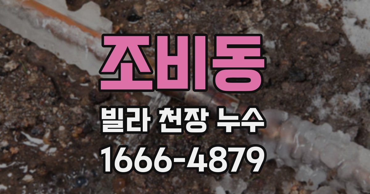 조비동 빌라 천장 누수