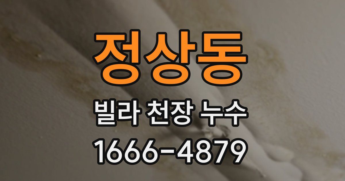 정상동 빌라 천장 누수